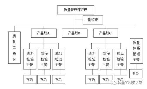 質(zhì)量管理部的組織結(jié)構(gòu)與責(zé)權(quán)