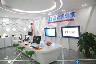 新華互聯網科技四大特色學院啟動，引領計算機科技領域技術開發新篇章