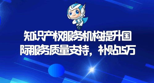 知識產(chǎn)權(quán)服務(wù)機(jī)構(gòu)提升國際服務(wù)質(zhì)量支持項(xiàng)目資金申報(bào)指南 15萬元補(bǔ)貼助力企業(yè)走向世界