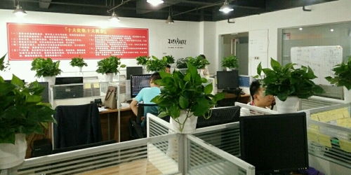 成都鑫鑾2020年投資經(jīng)理待遇怎么樣 看準(zhǔn)網(wǎng)